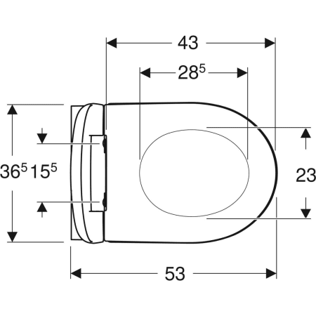 Унитазы Унитаз подвесной безободковый 53х36,5 см, в комплекте с сиденьем с микролифтом 